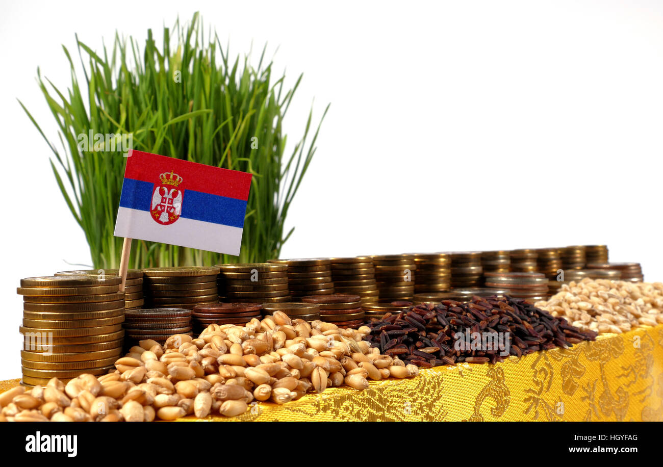 Serbia flag waving with stack of money coins and piles of wheat and rice seeds Stock Photo
