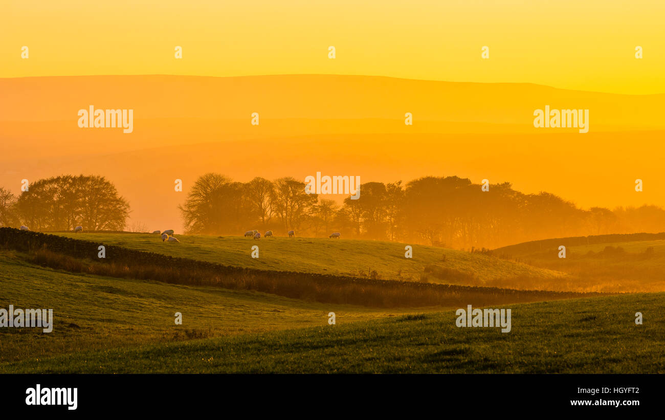 Misty evening looking towards the Bowland Fells from above Roeburndale Lancashire Stock Photo