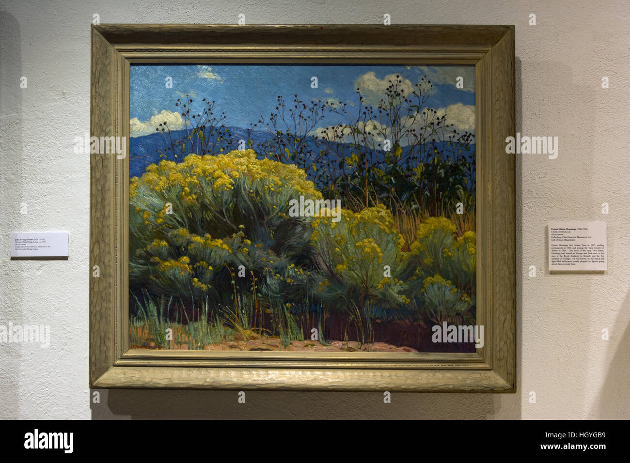 New Mexico, Taos, Harwood Museum of Art, painting Stock Photo