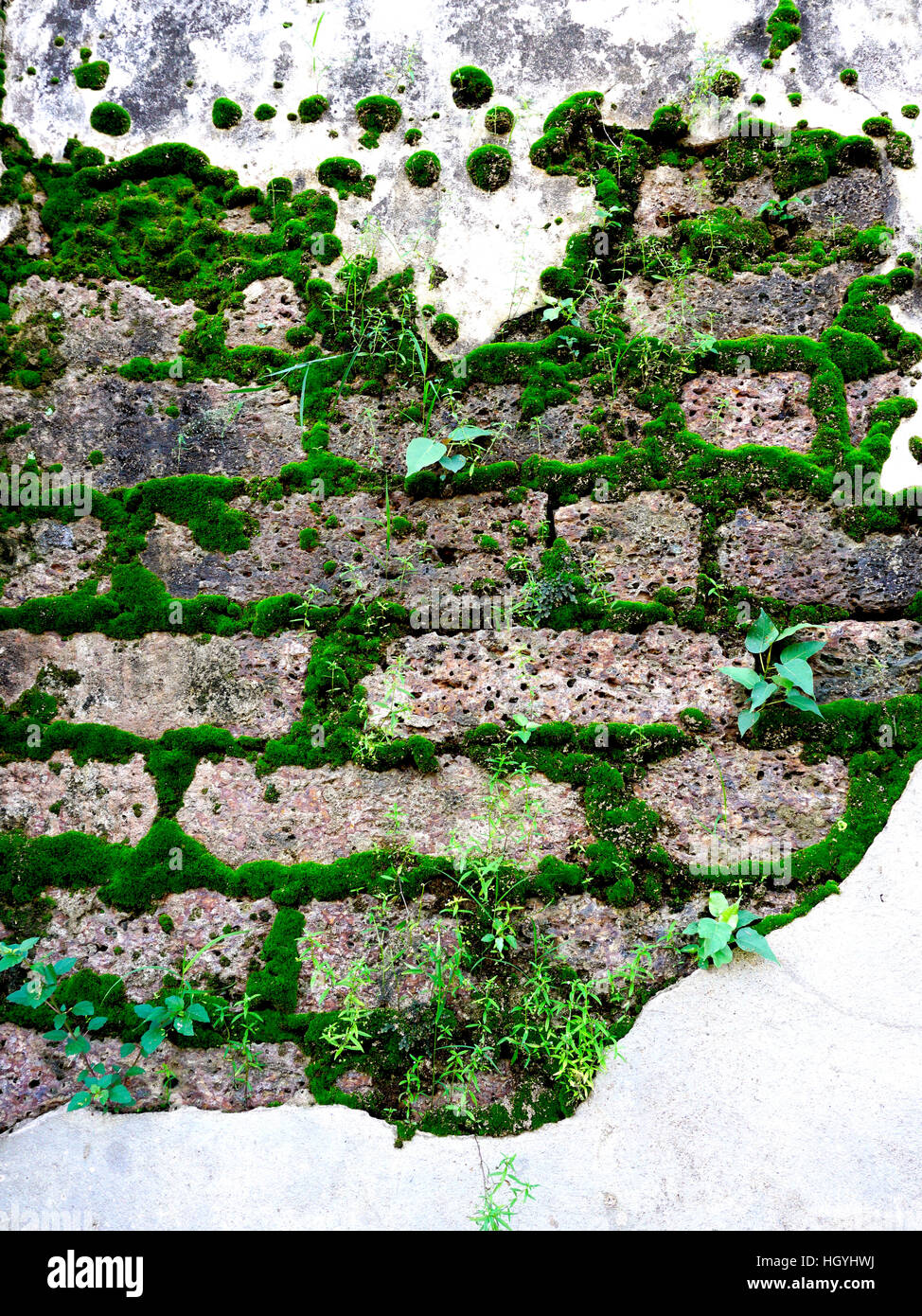 antique wall with moss on laterite stone at temple in Sukhothai Stock Photo