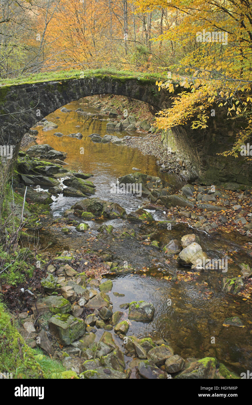 Old bridge crossing a creek Stock Photo