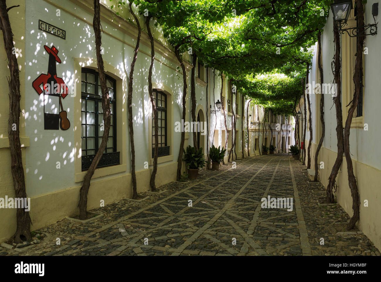 Calle Ciegos with trained vine and the Tio Pepe sherry plaque at the ...