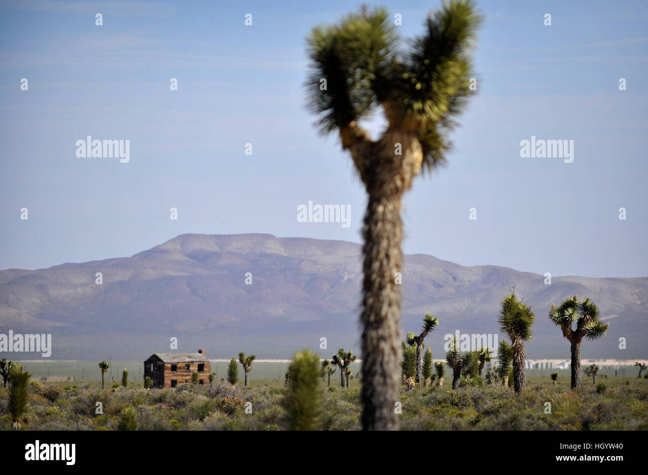 Mercury, Nevada, USA. 20th Apr, 2016. One of the remaining structures of ''Survival Town'' is seen in Area 1 at the Nevada National Security Site on Wednesday, April 20, 2016. The building, one of many created in 1955, was to test various building construction types in a nuclear blast. © David Becker/ZUMA Wire/Alamy Live News Stock Photo