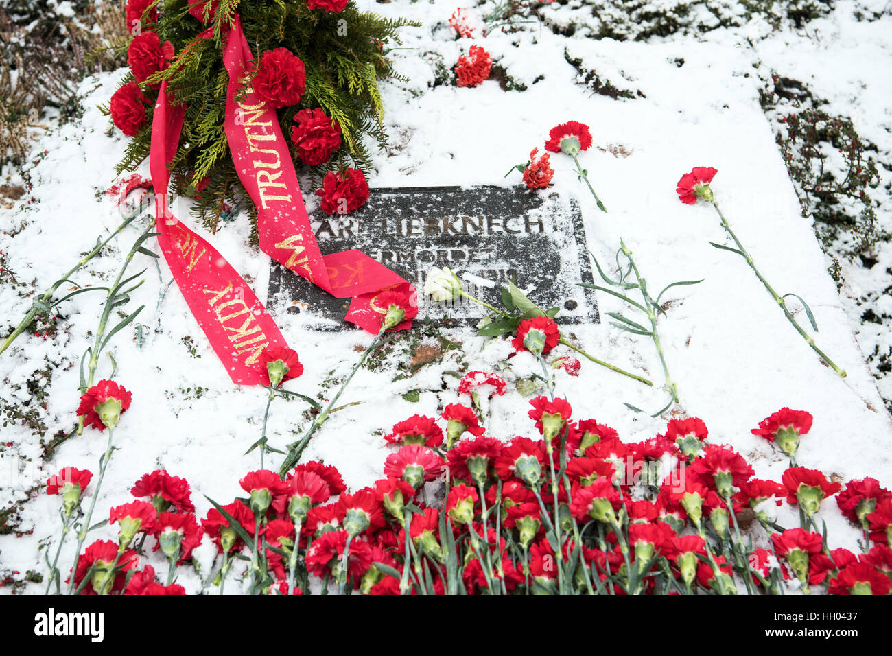 Berlin, Germany. 15th Jan, 2017. Dianthuses were layed down during a commemoration for the communist leaders Rosa Luxemburg and Karl Liebknecht, which were killed in 1919, at the memorial site of the socialists at the central cemetery of Friedrichsfelde in Berlin, Germany, 15 January 2017. Photo: Soeren Stache/dpa/17�Թ����� Live News Stock Photo