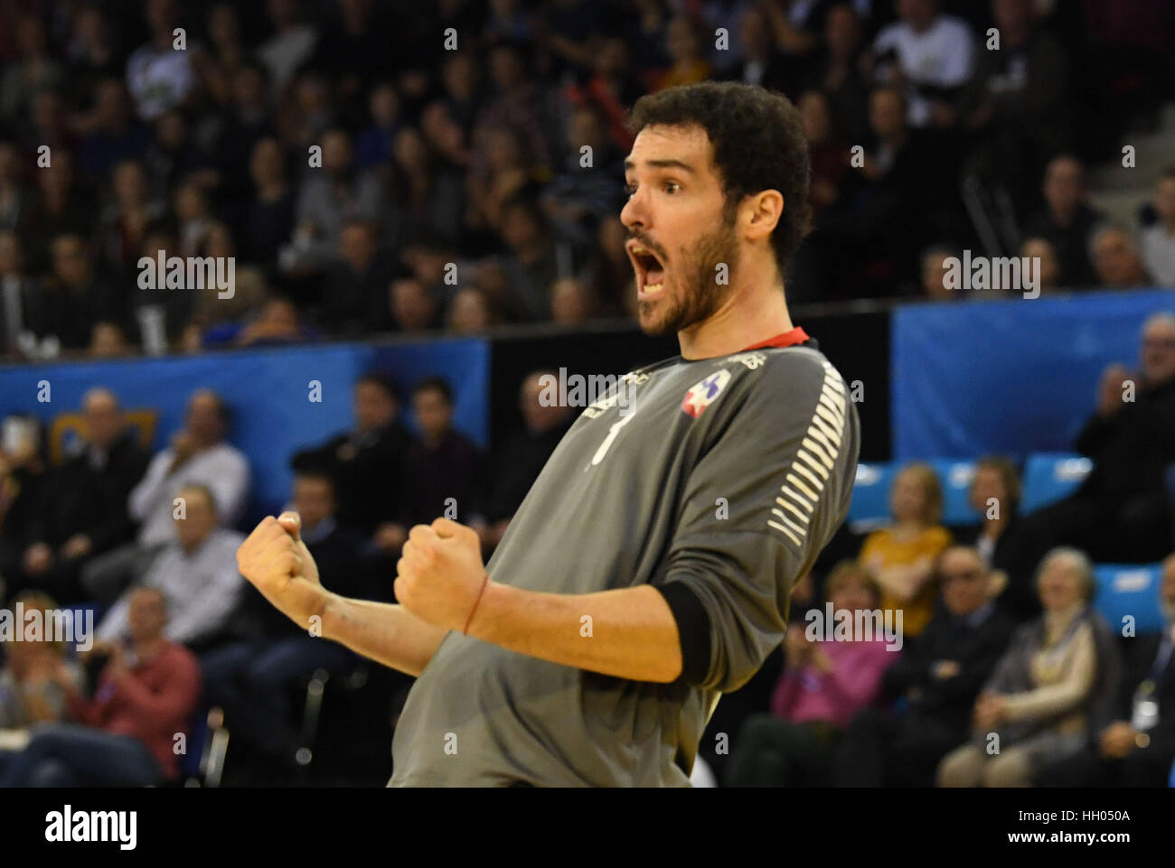 Rouen, France. 15th Jan, 2017. Chile's goalkeeper Rene Oliva reacts during the Handball World Cup group match between Chile and Germany at the Kindarena in Rouen, France, 15 January 2017. Photo: Marijan Murat/dpa/Alamy Live News Stock Photo