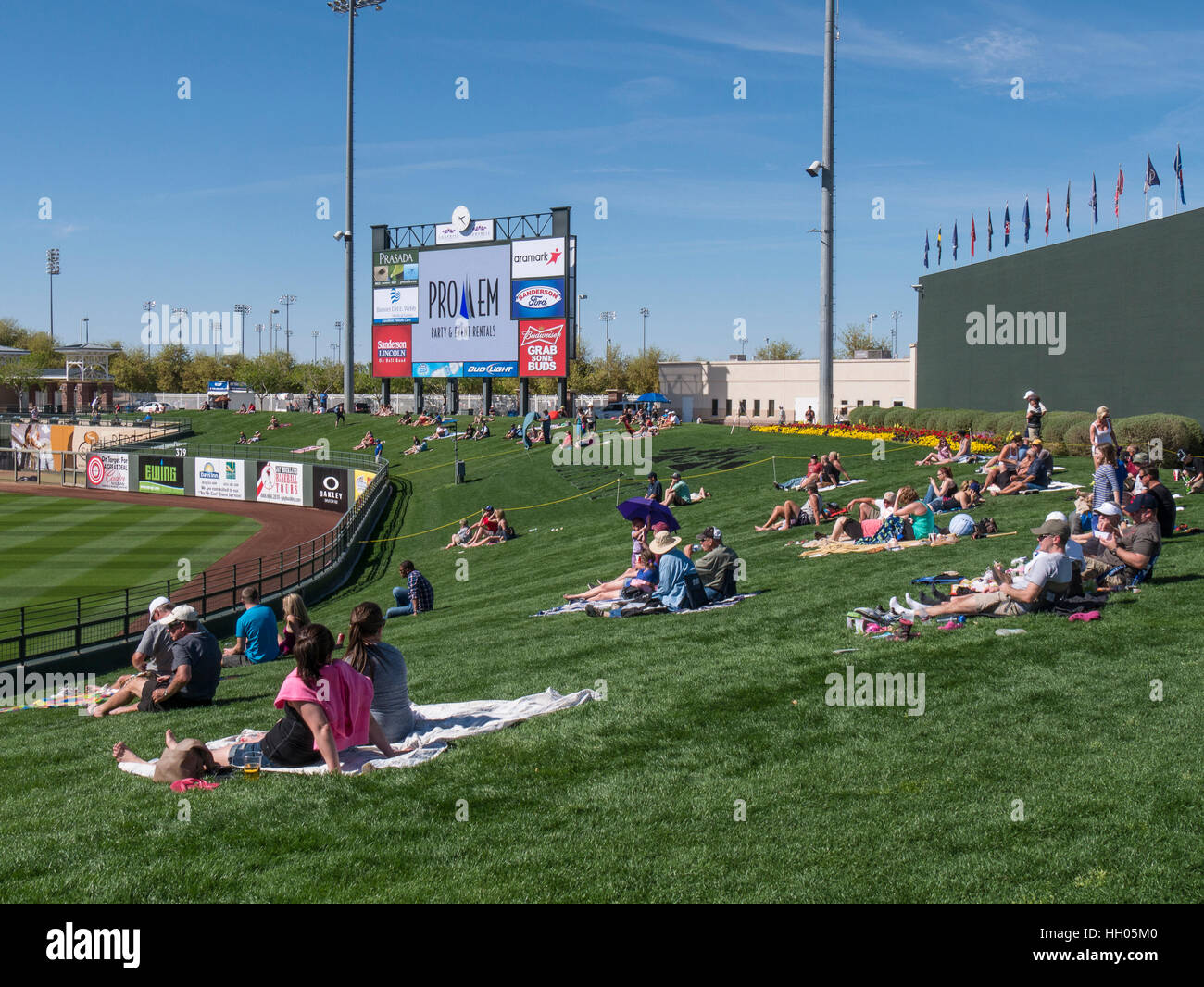 Outfield grass seats, Cactus League spring training baseball, Surprise Stadium, Surprise Recreation Campus, Surprise, Arizona. Stock Photo
