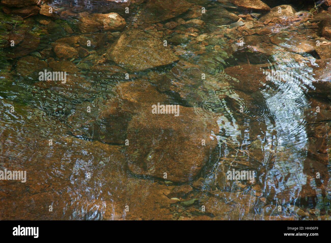 A drop in transparent shallow water with a rocky bottom Stock Photo - Alamy