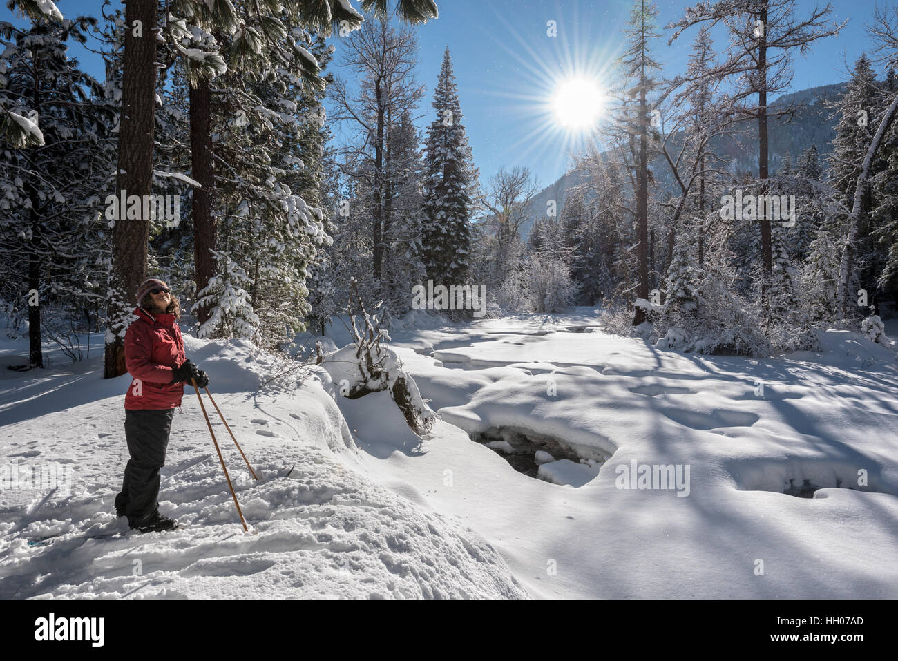 Cross country skiier along the Lostine River in Oregon's Wallowa