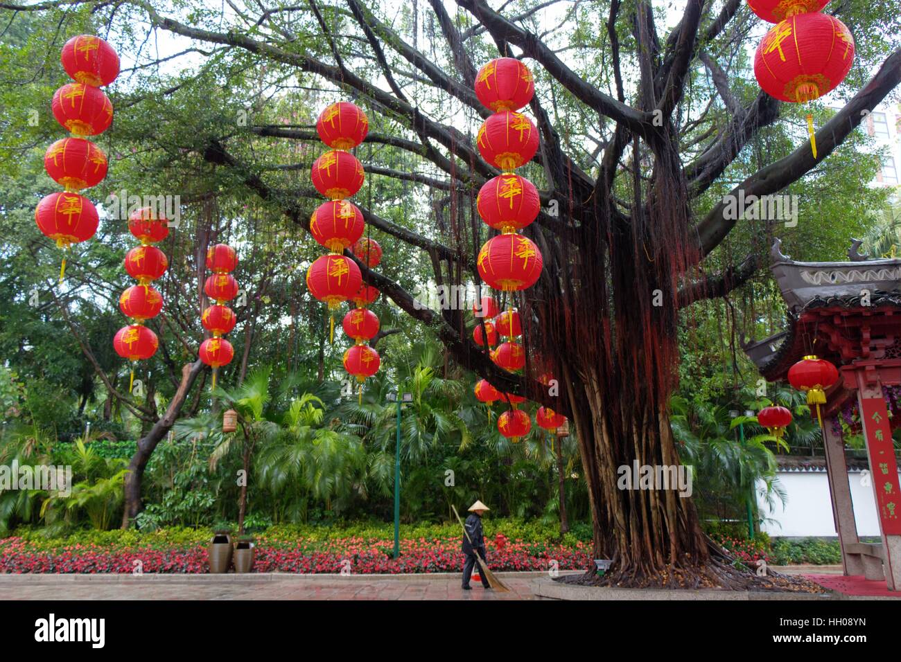 Splendid China Folk:  a beautiful tree, bright red lanterns hanging from its branches, a worker standing sweeping in the rain. Stock Photo