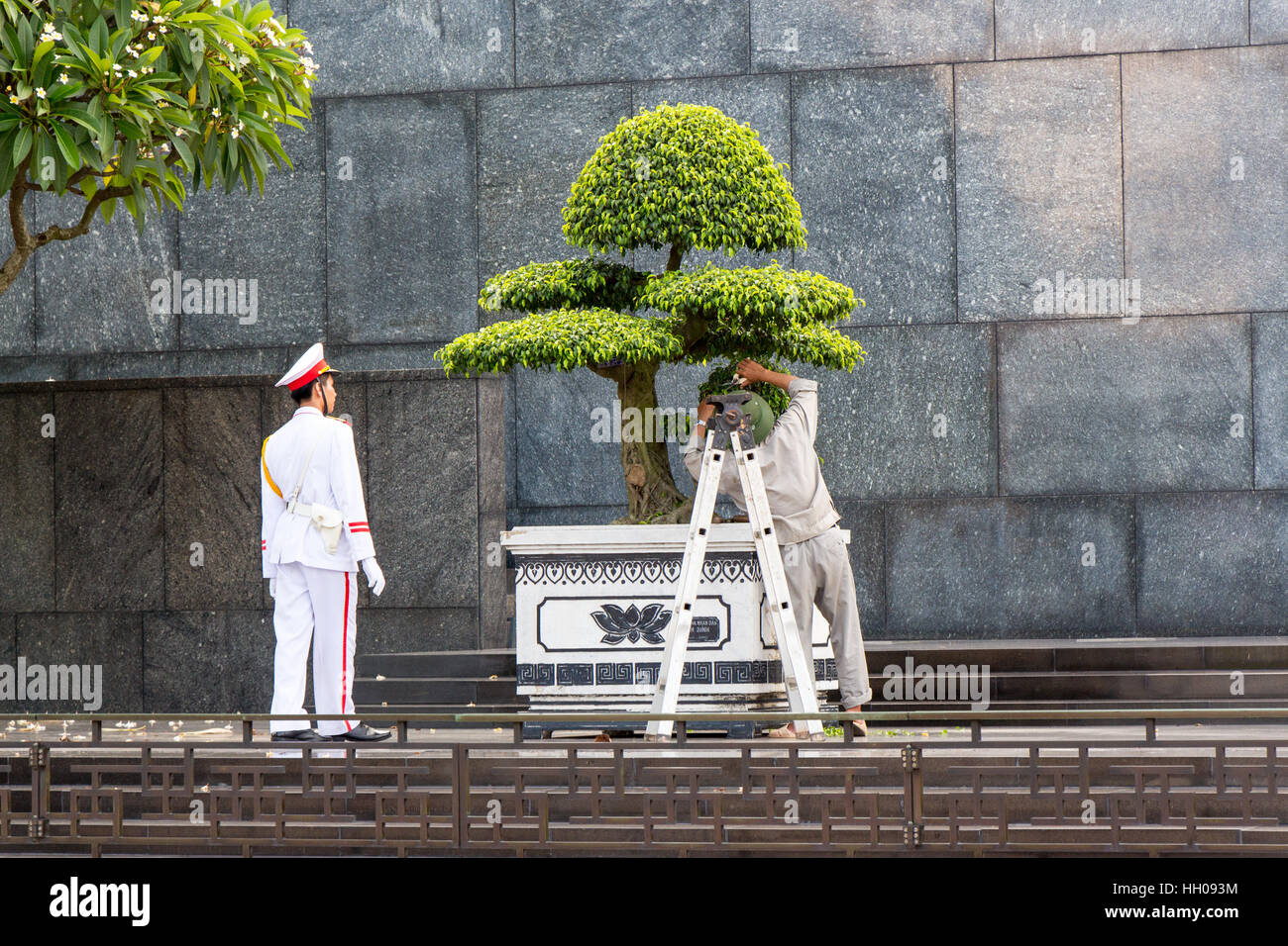 A soldier looks on while a gardener meticulously trims the bonsai tree. Ho Chi Minh Mausoleum, Hanoi, Vietnam. Stock Photo
