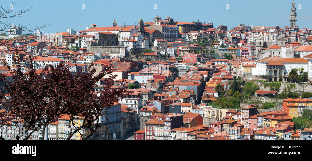 Porto, Portugal: red roofs of the Old City with view of Torre dos Clerigos, a stone tower in baroque style built between 1754 and 1763 Stock Photo