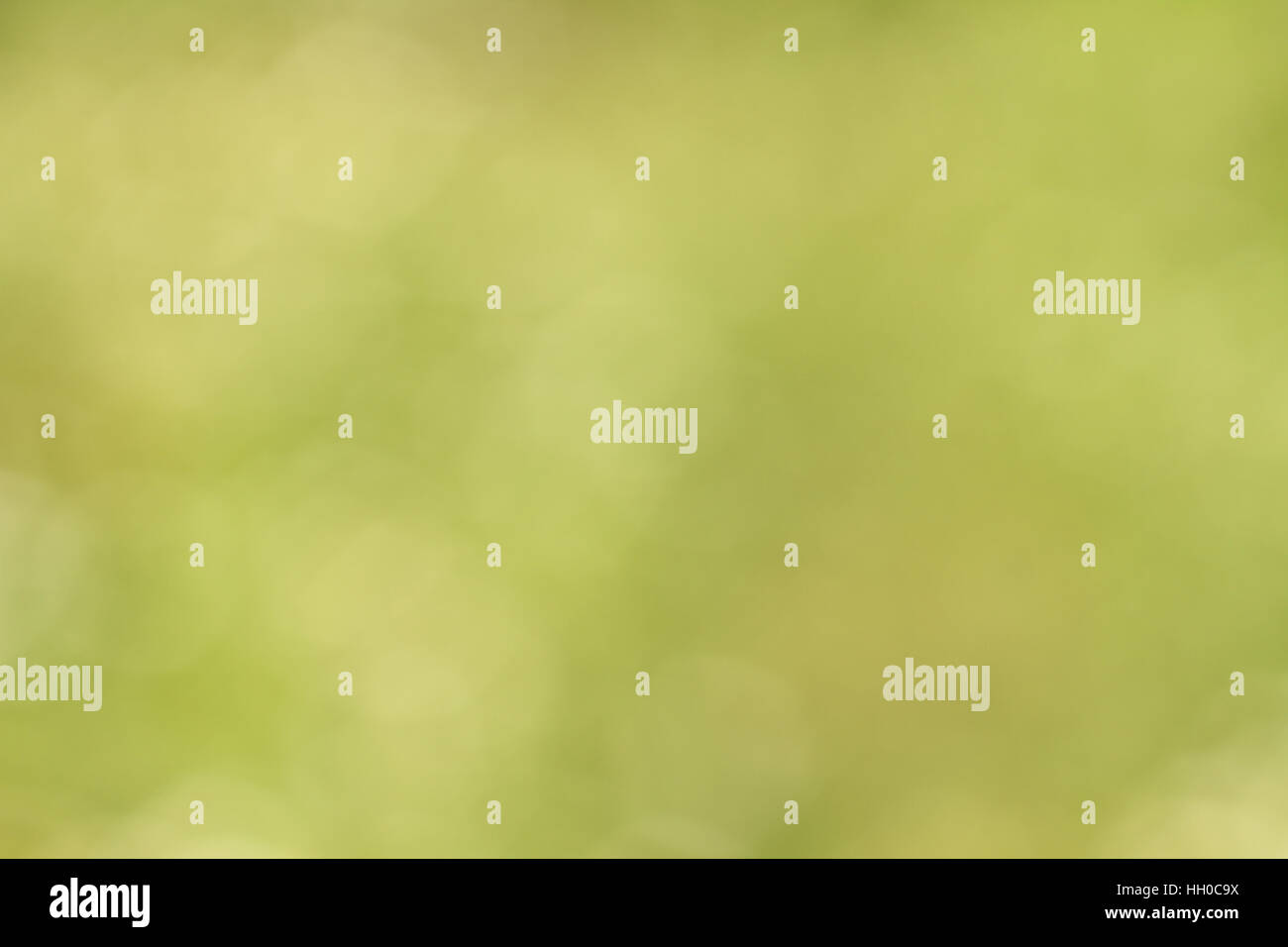 Bokeh photography backdrop hi-res stock photography and images - Alamy