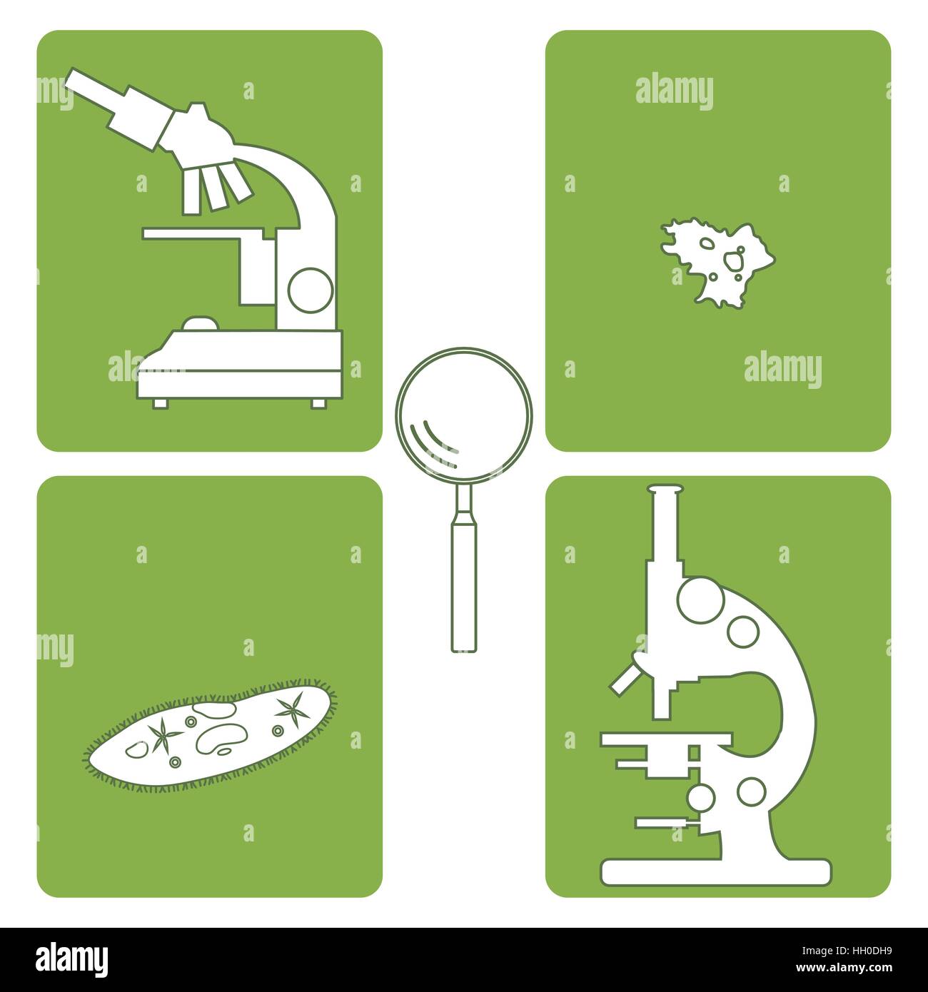 Stylized icons of microscopes, magnifier, amoeba, ciliate-slipper ...