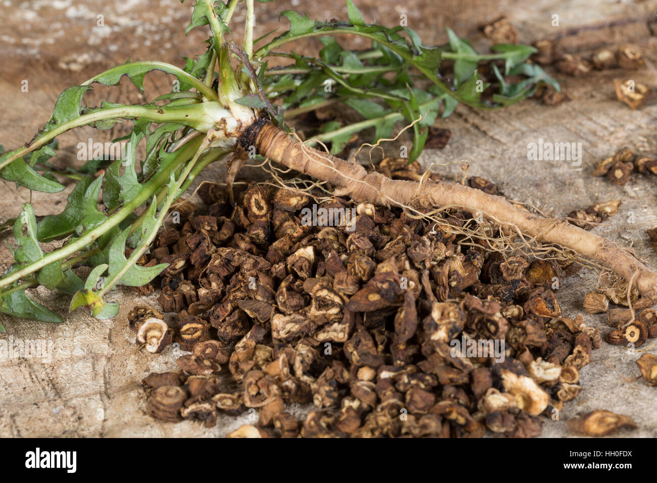 Wurzeltee aus gerösteten Wurzeln, Löwenzahn-Kaffee, Löwenzahn-Tee, Heiltee, Kräutertee, Tee, Löwenzahn-Wurzel, Löwenzahn-Wurzeln, Löwenzahnwurzel, Löw Stock Photo