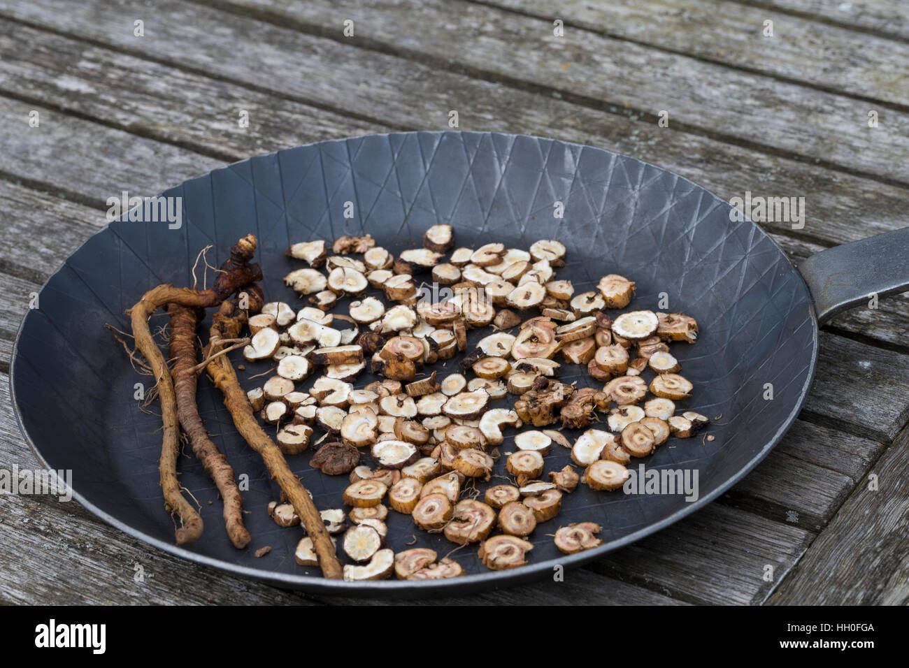 Löwenzahn-Wurzel, Löwenzahn-Wurzeln, Löwenzahnwurzel, Löwenzahnwurzeln, Wiesen-Löwenzahn, Radix Taraxaci, Taraxaci radix, Zerkleinerte Wurzeln werden  Stock Photo