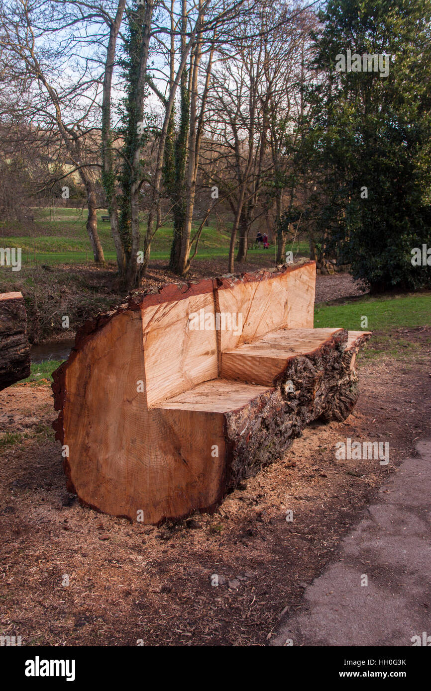 Benches cut roughly with a chainsaw from a fallen Scots Pine tree on the Byes, Sidmouth, Devon. Stock Photo