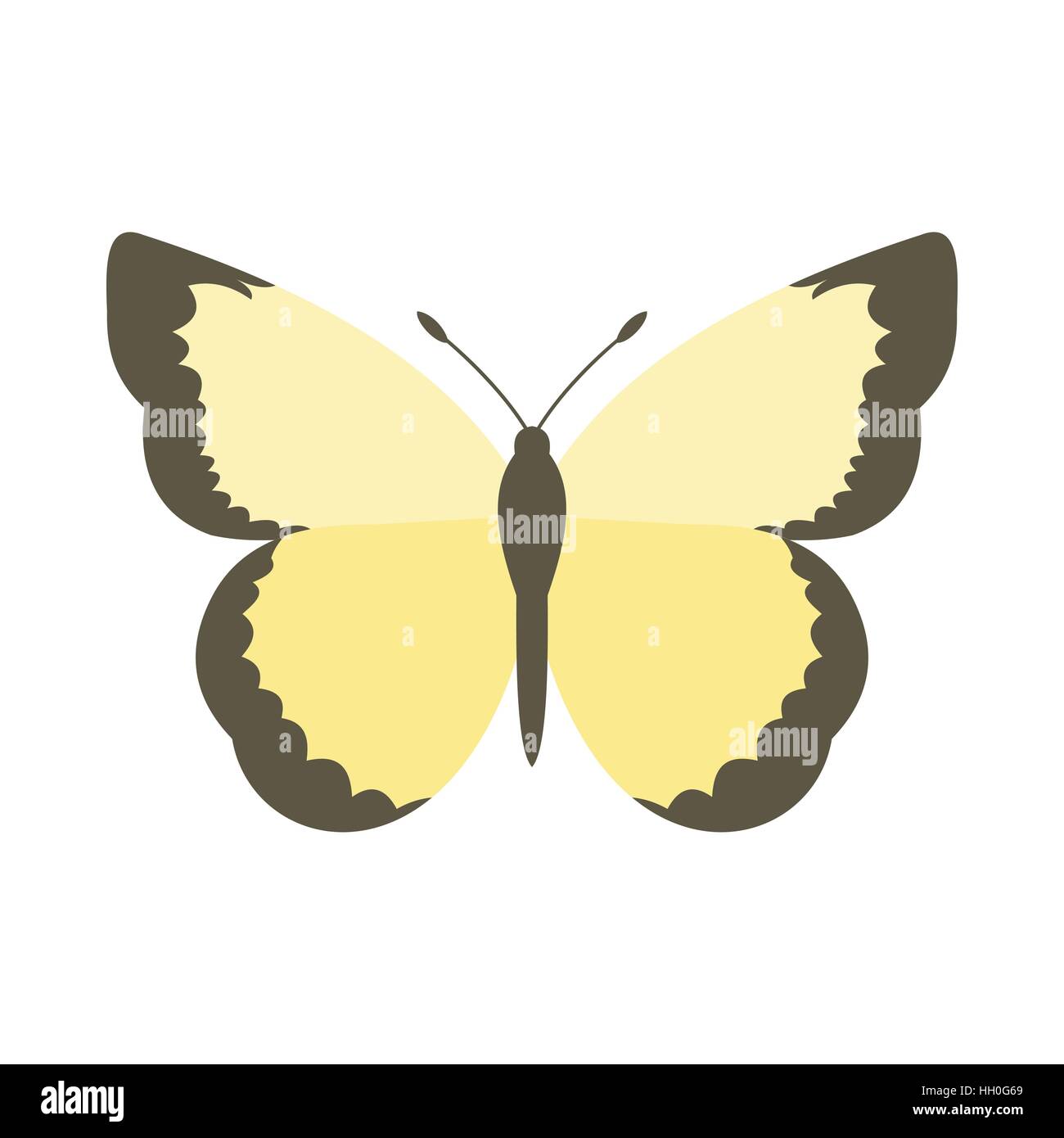 Light yellow butterfly icon, flat style Stock Vector Image & Art - Alamy