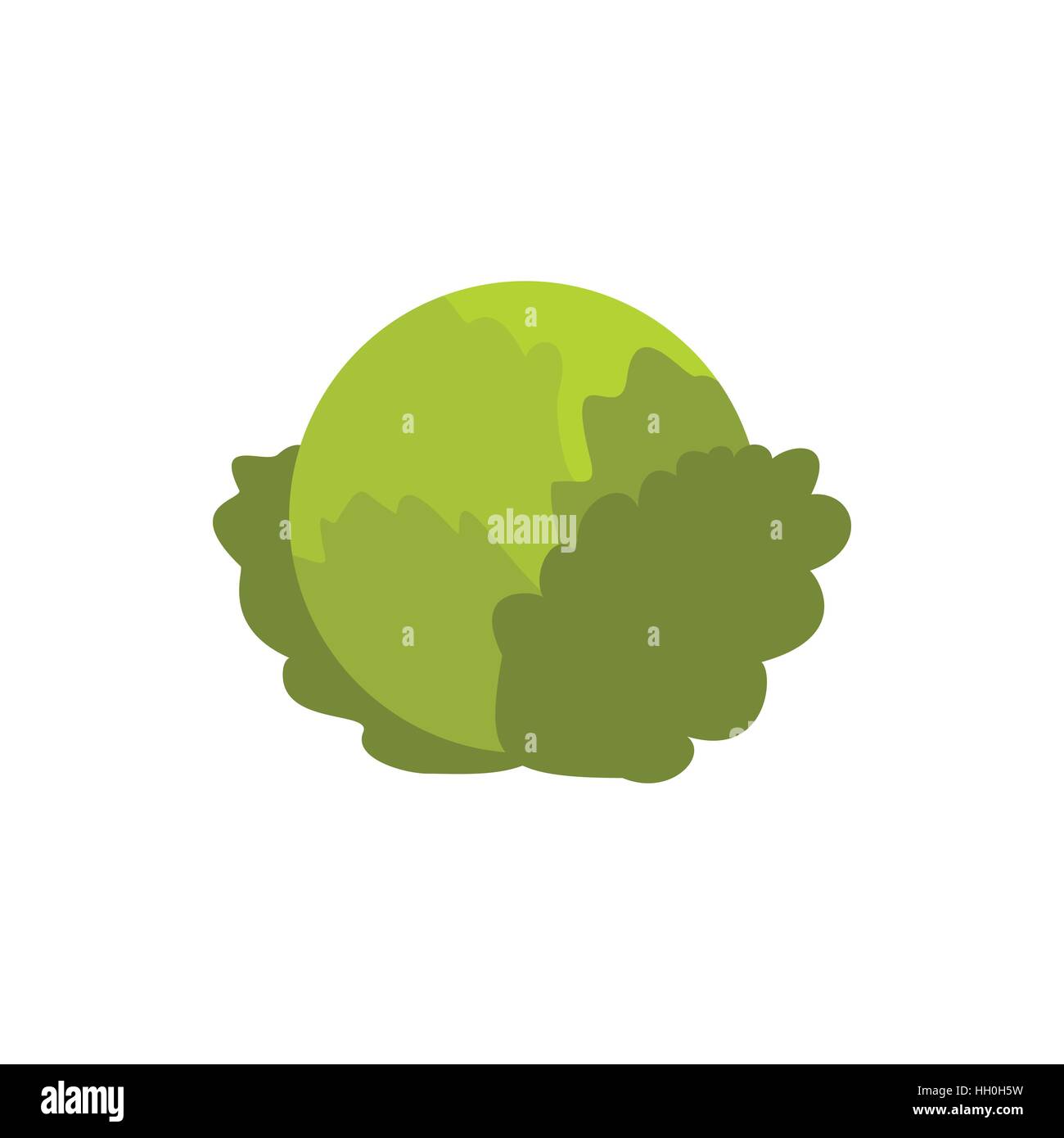 Cabbage icon in flat style Stock Vector Image & Art - Alamy