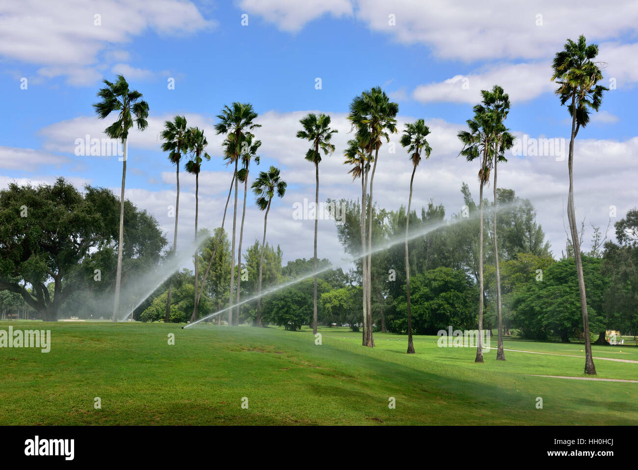 Sprinklers watering lawn at Miami Springs Golf & Country Club Stock
