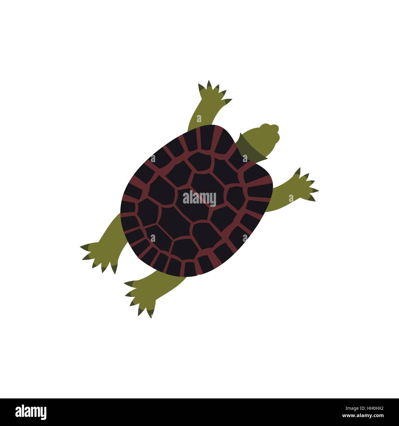Tortoise turtle armor reptile Stock Vector Images - Alamy