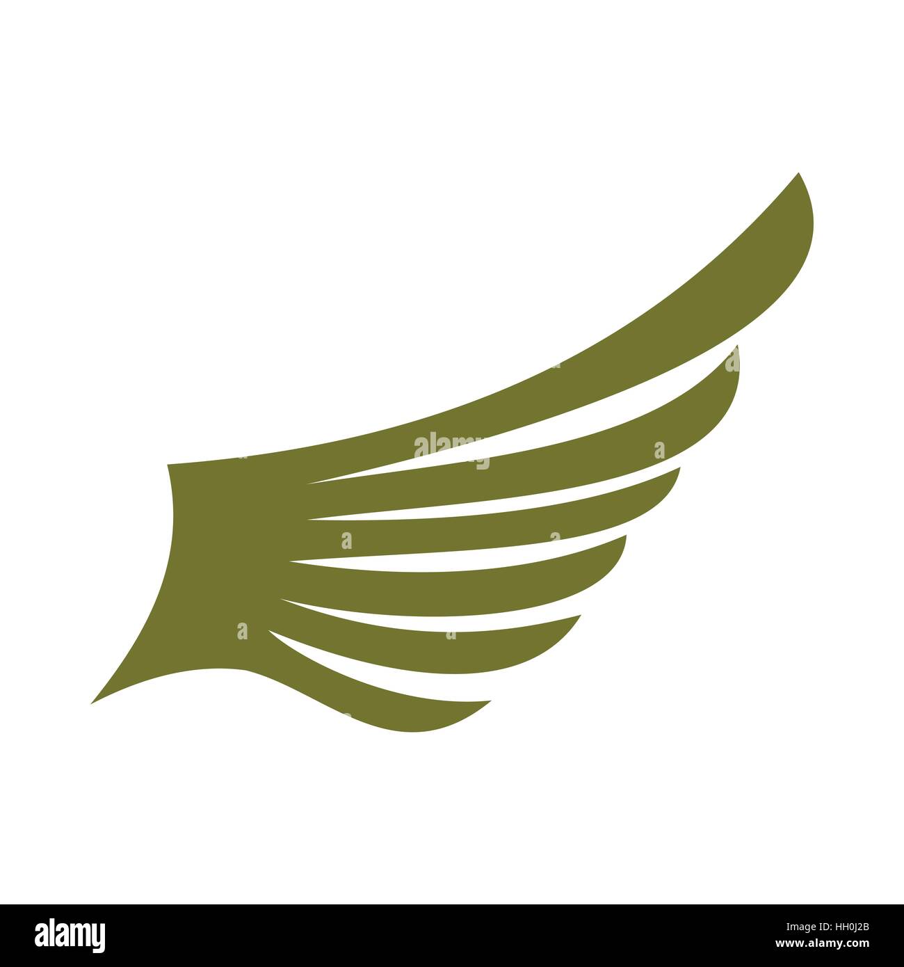 Green wing bird icon, flat style Stock Vector Image & Art - Alamy
