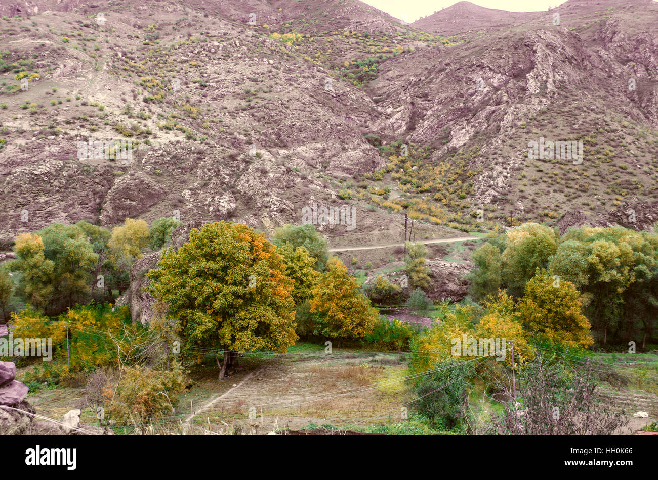 Yellowed autumn walnut trees in the village at the foot of the mountains Stock Photo