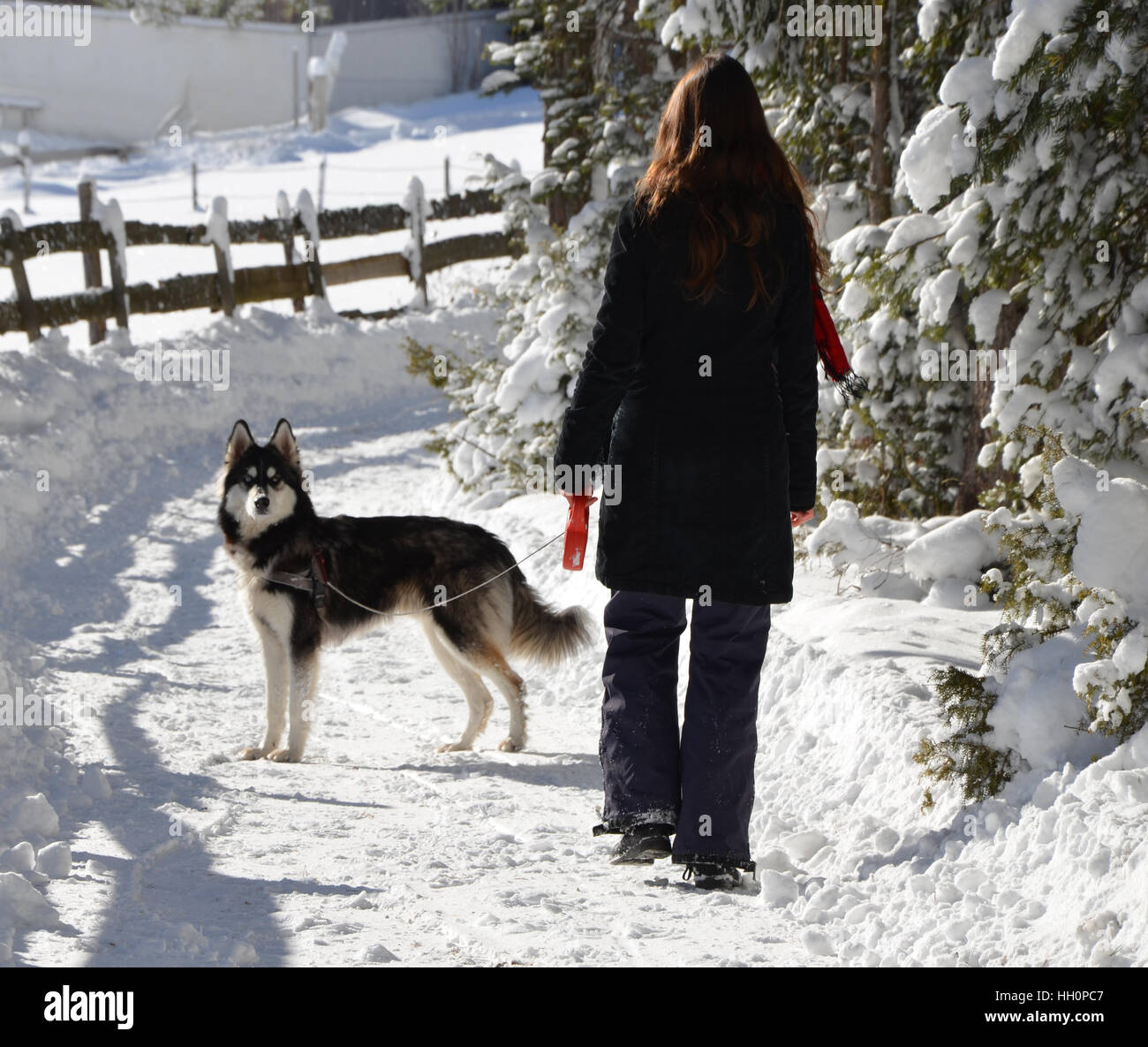 Woman walking on a snowy path in winter, Tyrol, Austria Stock Photo
