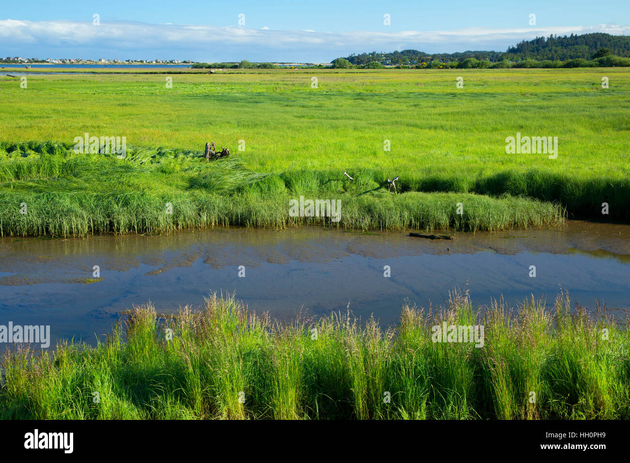 Siletz Bay estuary, Siletz Bay National Wildlife Refuge, Lincoln City