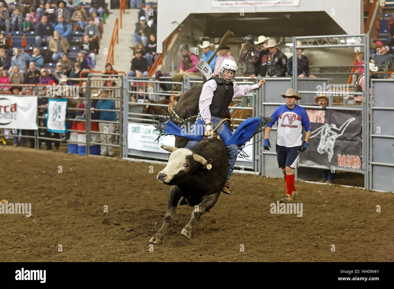 A young cowboy rides a bucking bull at the Pennsylvania Farm Show ...