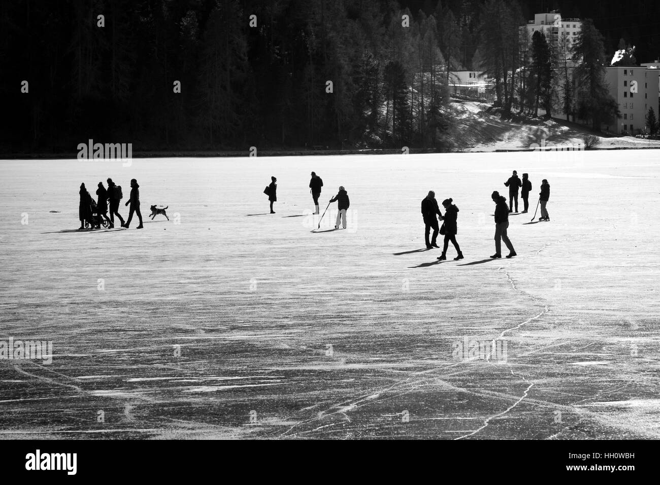 Silhouetted group of people and pets walking on a frozen lake in winter with urban buildings in the background Stock Photo