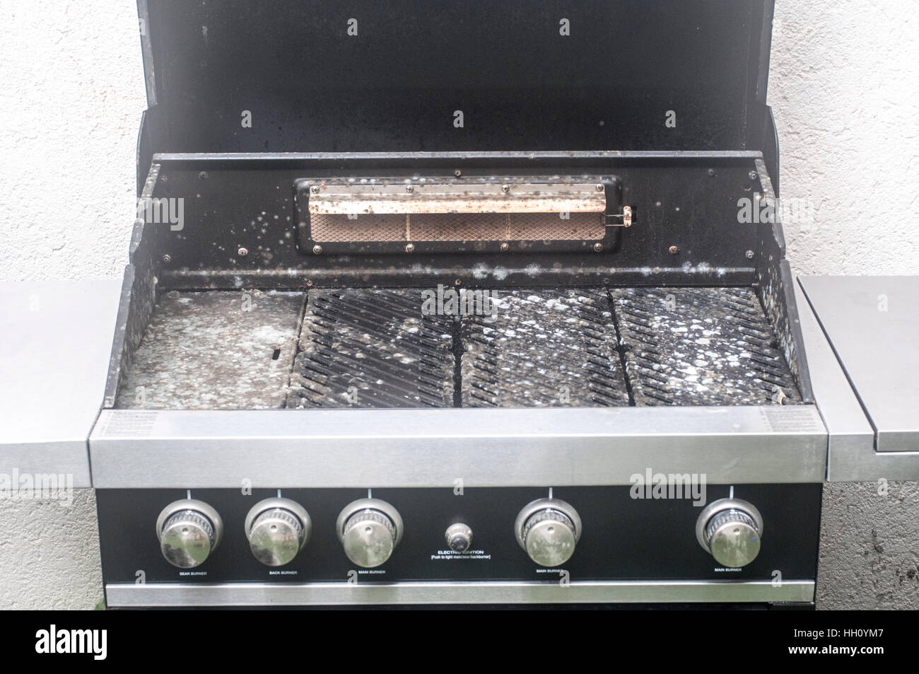 Mouldy moldy hires stock photography and images Alamy