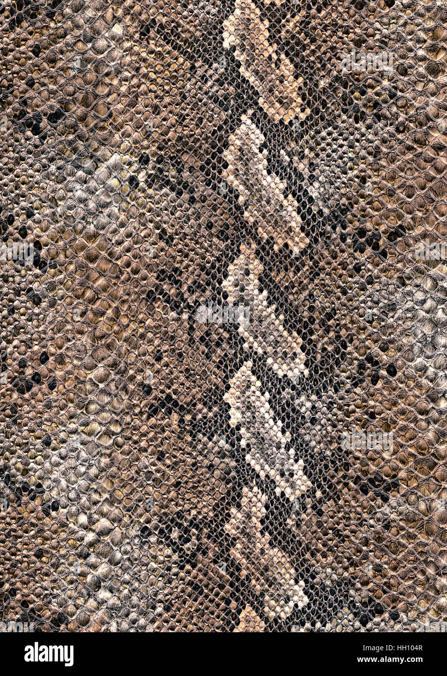 full frame scaled abstract brown patterned reptile skin surface Stock Photo