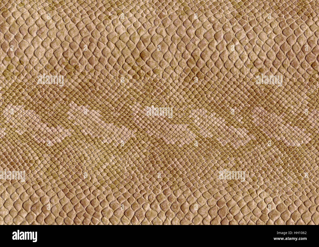 full frame scaled abstract brown patterned reptile skin surface Stock Photo