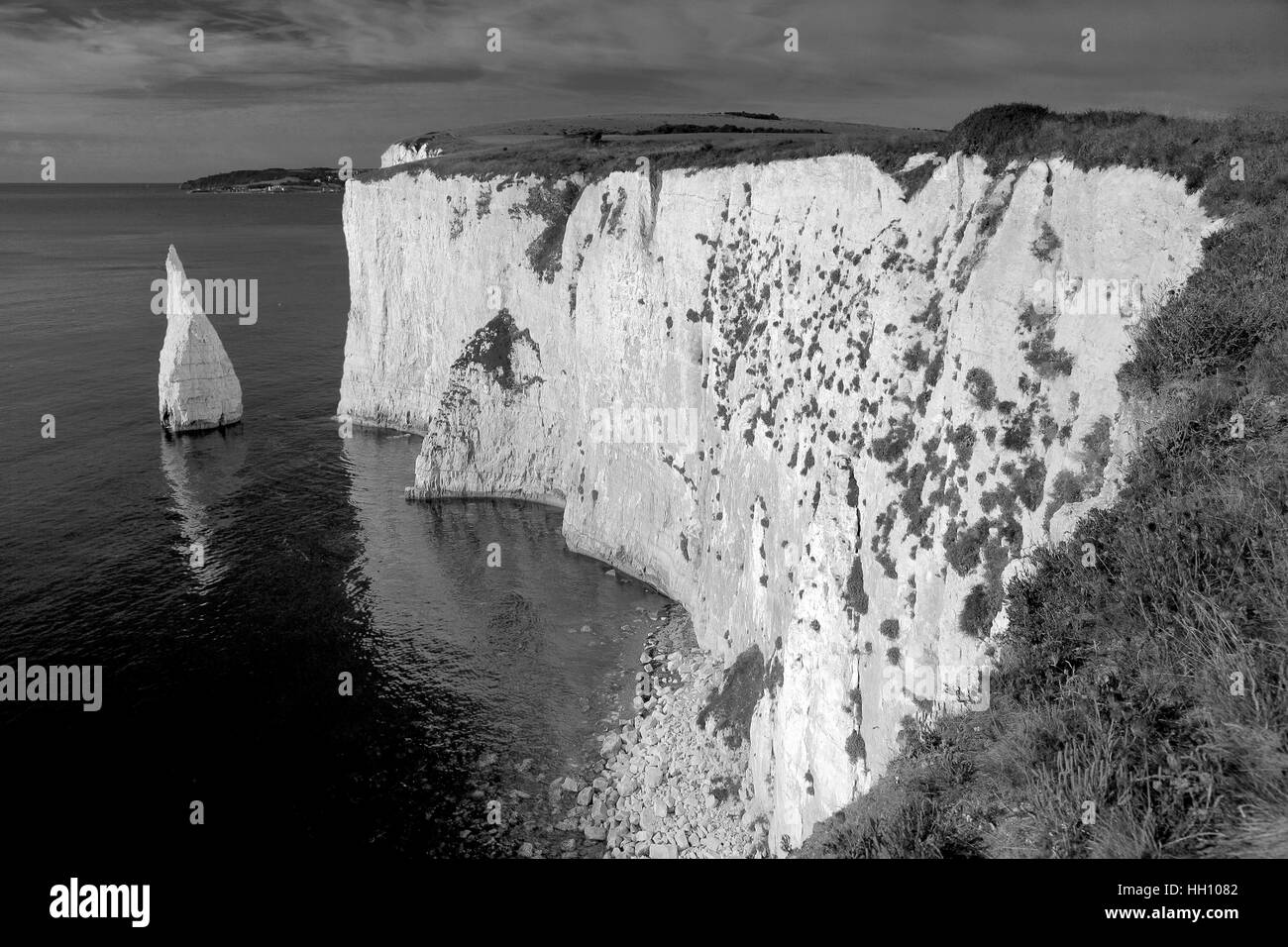 The Pinnacles Seastacks, Swanage bay, Jurassic coastline, Dorset; England; Britain; UK Stock Photo