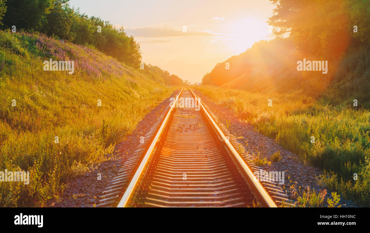 The Scenic Panorama Landscape With Railway Going Straight Ahead Through Summer Hilly Meadow To Sunset Or Sunrise In Sunlight. Lense Flare Effect. Stock Photo