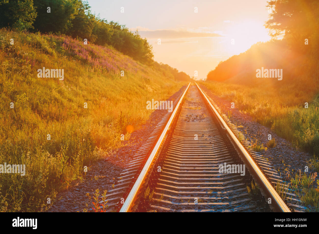 The Scenic Landscape With Railway Going Straight Ahead Through Summer Hilly Meadow To Sunset Or Sunrise In Sunlight. Lense Flare Effect. Stock Photo