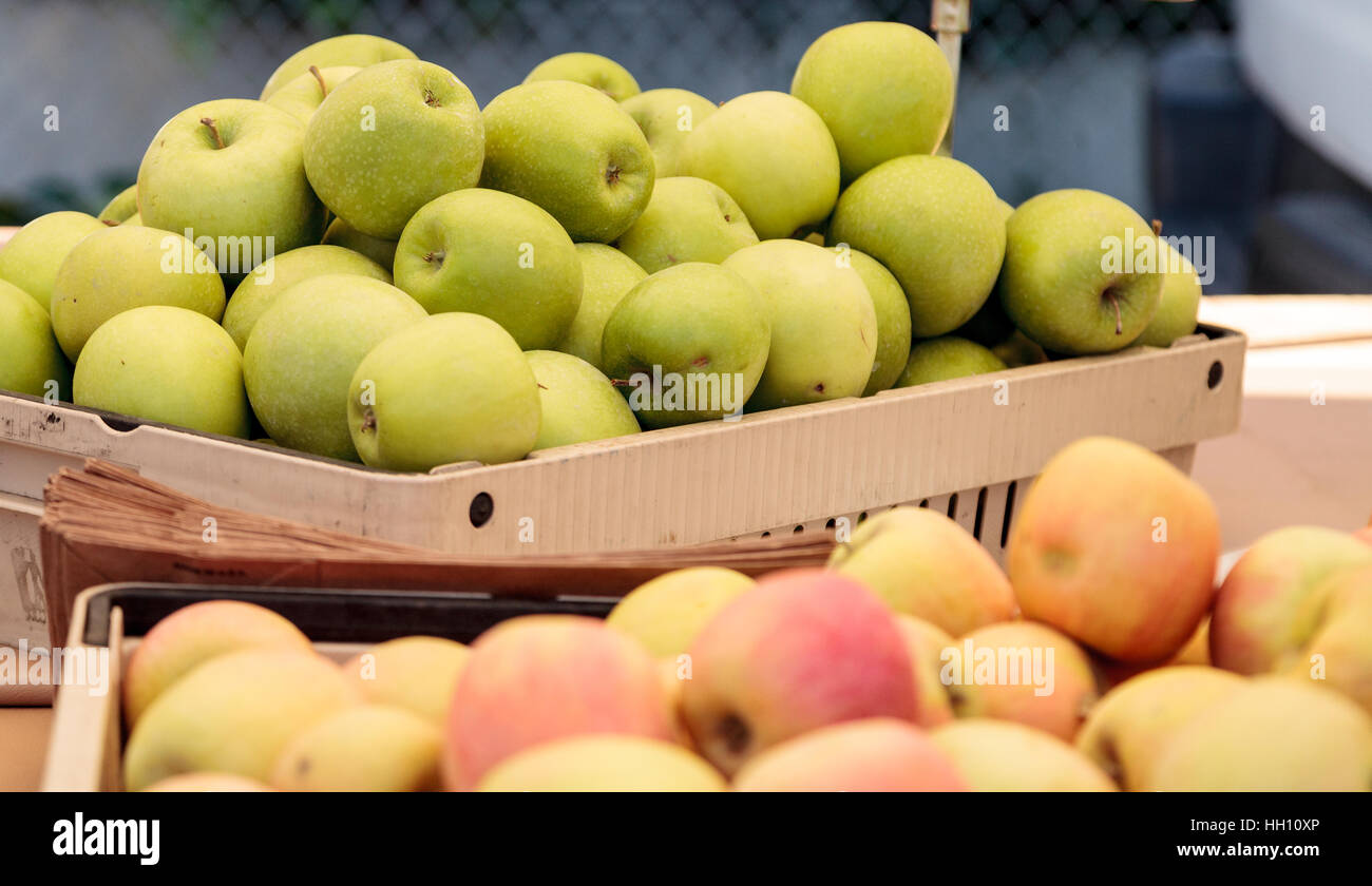 Bushel of green and red apples in a crate at a farmer’s market with
