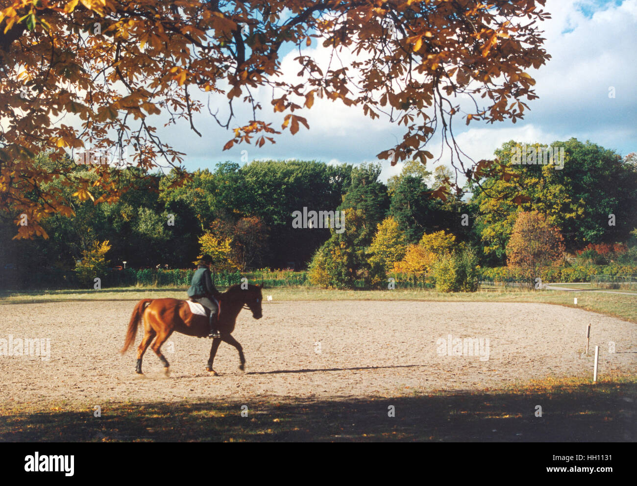 EQUESTRIAN riders practicing on an autumn day out at nature Stock Photo