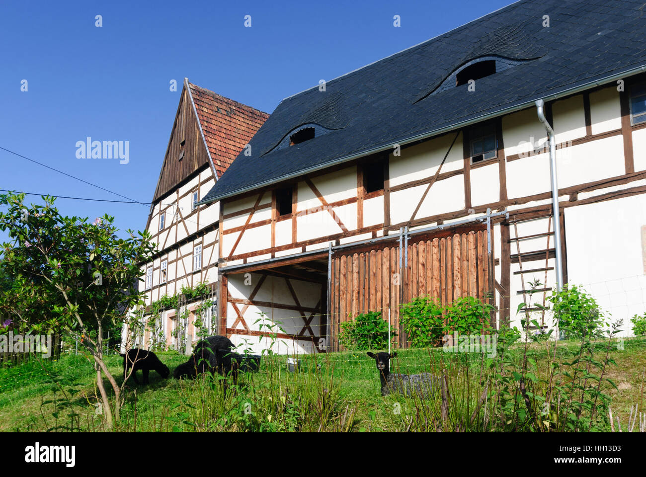 Seelitz: Half-timbered houses at Fischhaus - valley of the Zwickauer Mulde, , Sachsen, Saxony, Germany Stock Photo