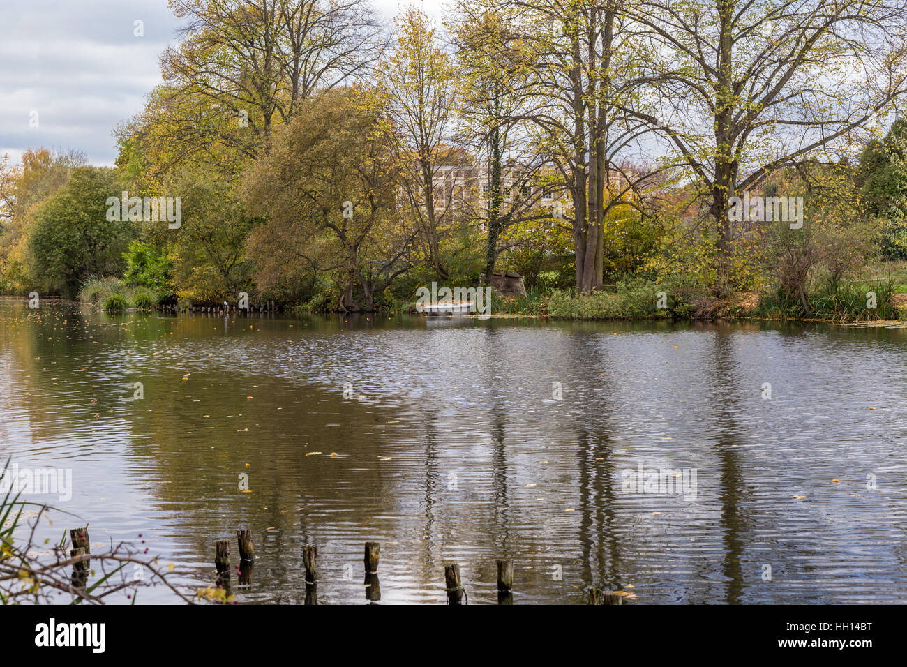 Lake with reflection of trees in the autumn. Taken at The Glade, Sidcup