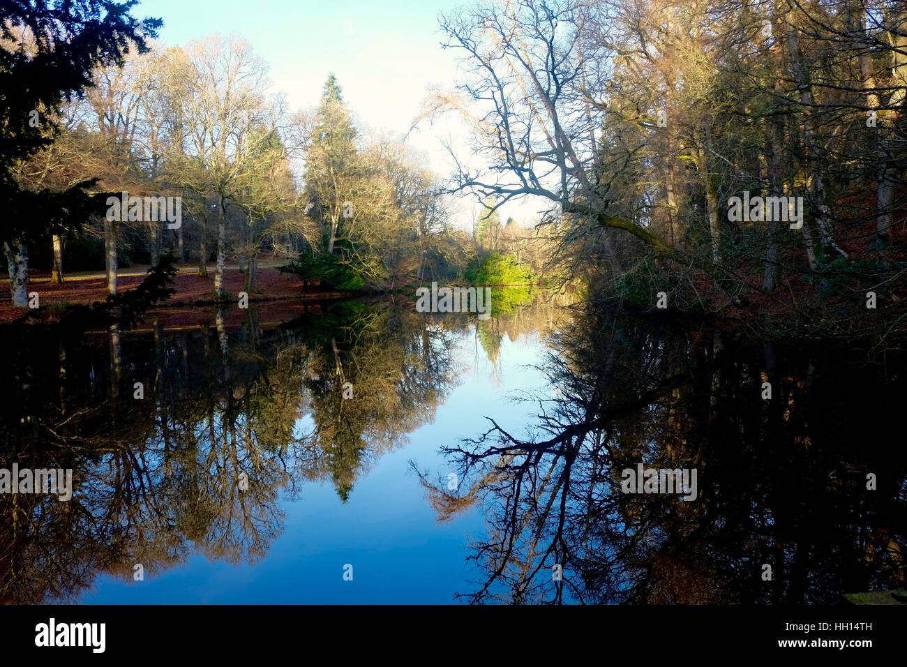 Trees reflected in a river Stock Photo - Alamy