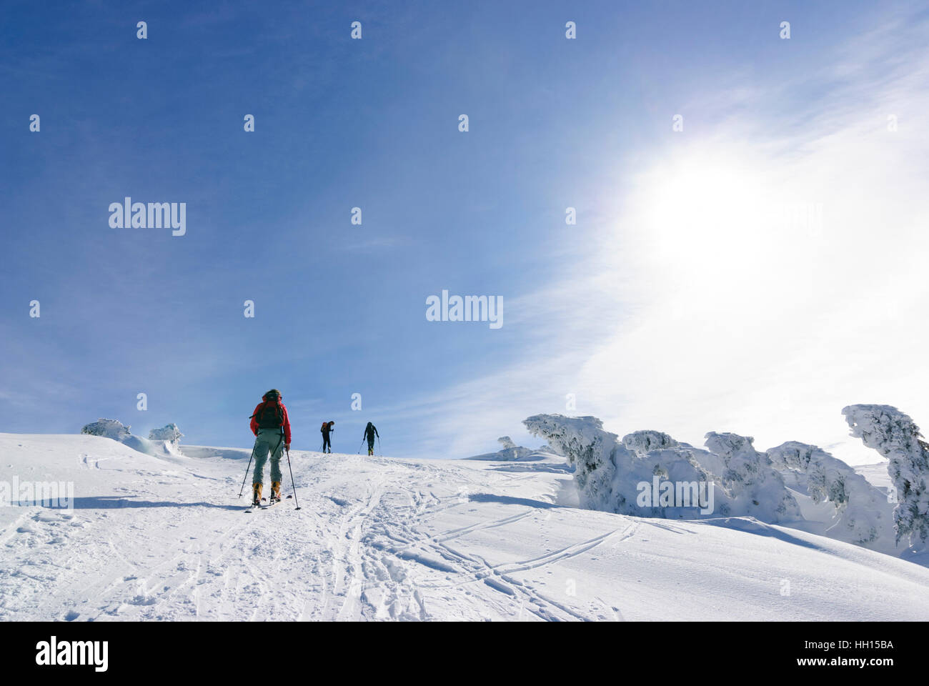 Spital am Semmering: Ski tour walker in the mountain Stuhleck, Obere Steiermark, Steiermark, Styria, Austria Stock Photo