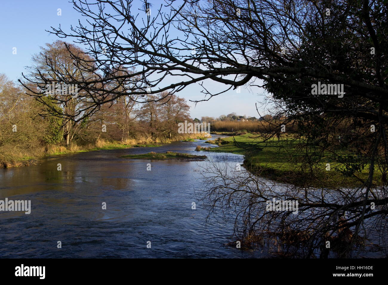 River Piddle or Trent from the Wareham Forest Way in Winter Wareham Dorset Stock Photo