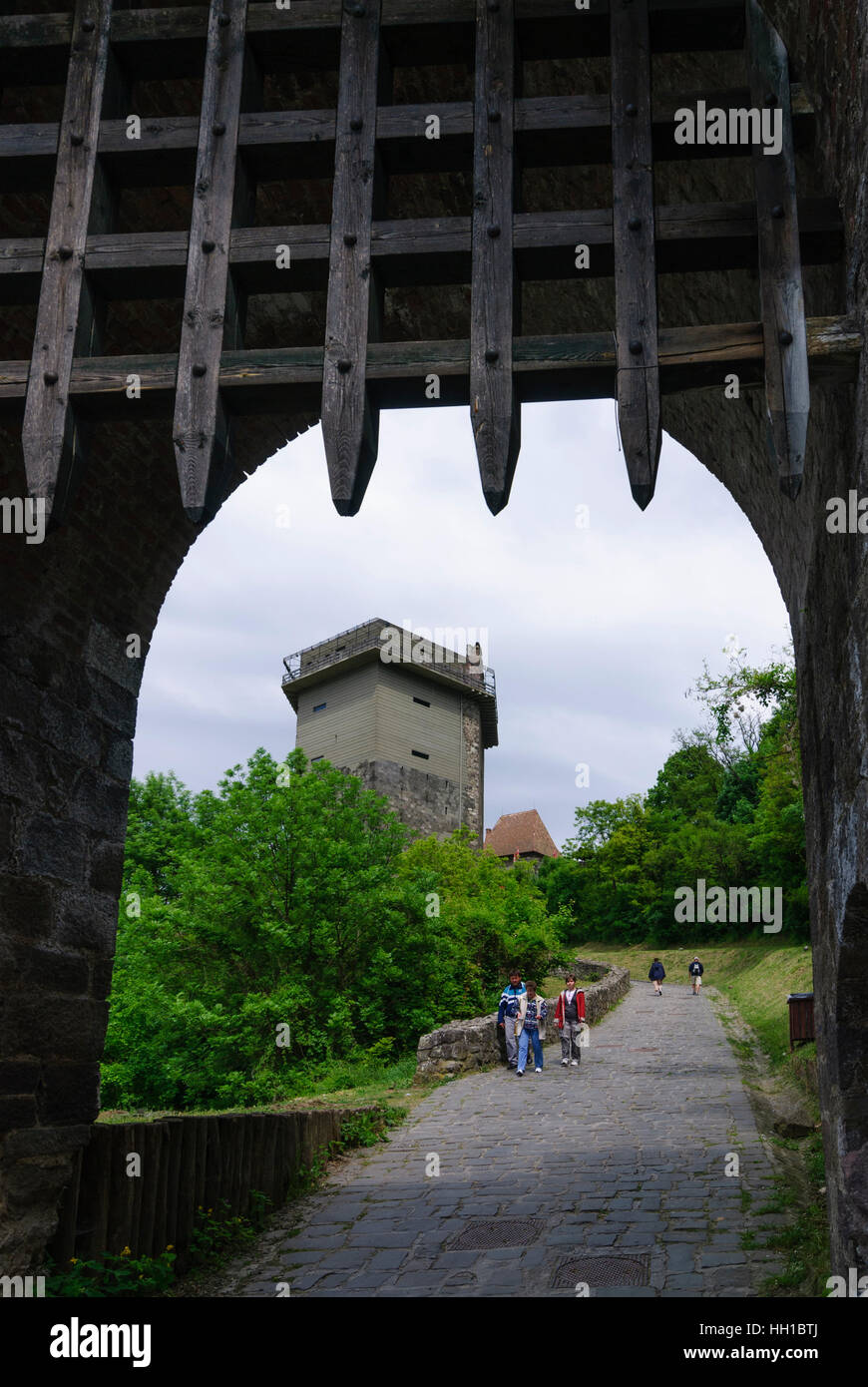 Visegrad: Lower castle with Salomon tower, , Komarom-Esztergom, Hungary  Stock Photo - Alamy