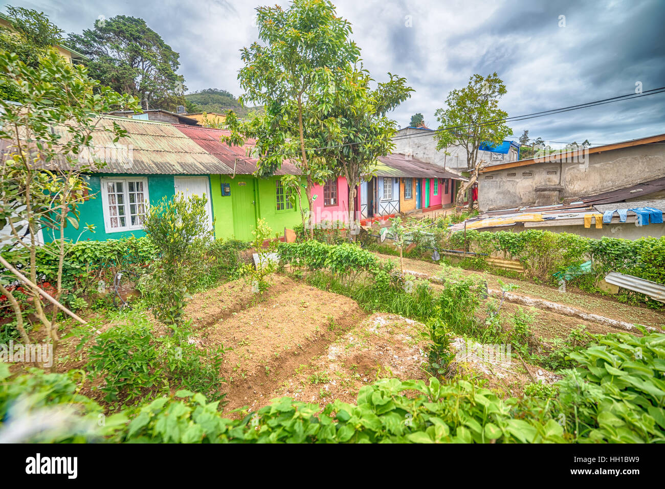 Rural house sri lanka hi-res stock photography and images - Alamy, image size:1300x957