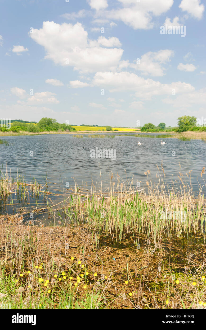 Salka: Pond in the mountain range Ipelska pahorkatina, , , Slovakia Stock Photo