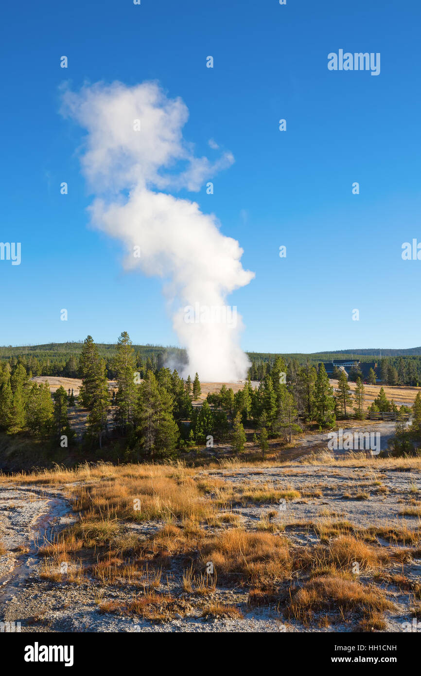 Geyser Examples Old Faithful geyser eruption in the Yellowstone national park, USA ...