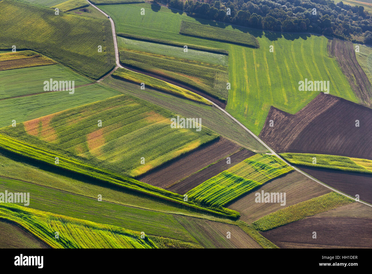 Fields, farmland, Mengen, Baden-Württemberg, Germany Stock Photo
