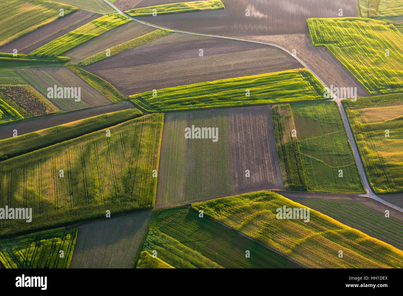 Agricultural landscape, fields, Mengen, Baden-Württemberg, Germany Stock Photo