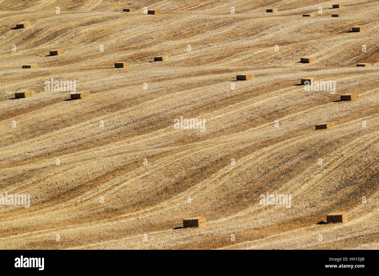 Bales of straw and abstract patterns in cornfield after wheat harvest ...